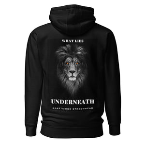 What Lies Underneath Premium Hoodie