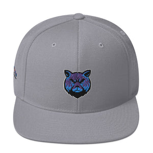 BeastMode Snapback Silver