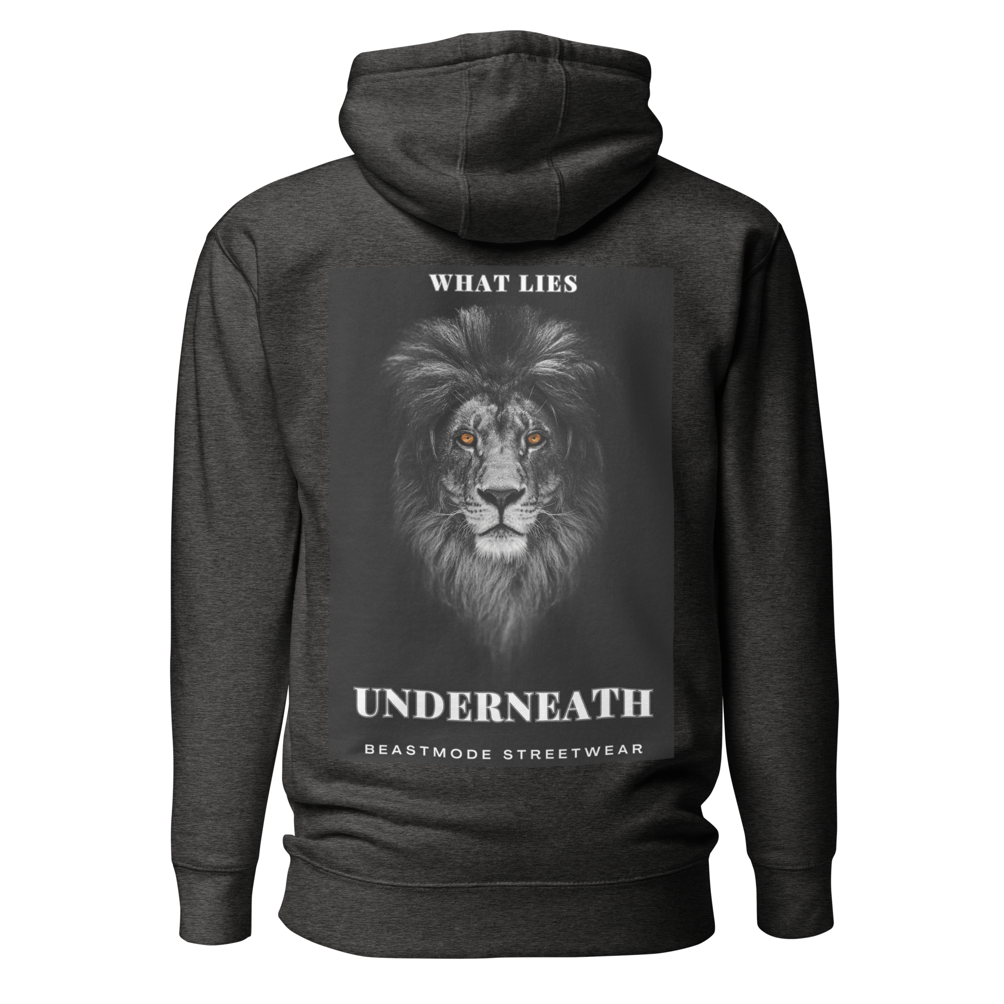 What Lies Underneath Premium Hoodie