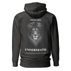 What Lies Underneath Premium Hoodie