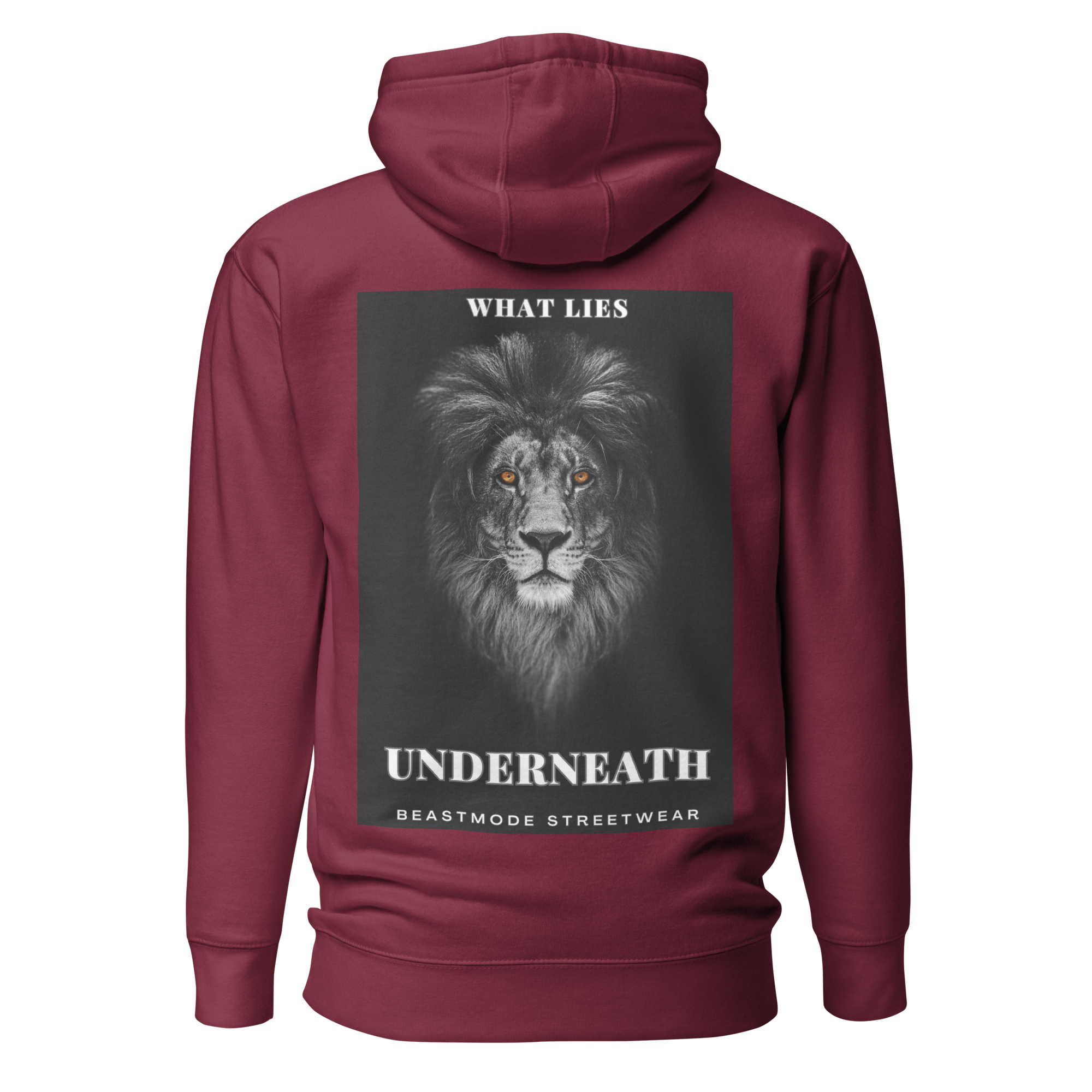 What Lies Underneath Premium Hoodie