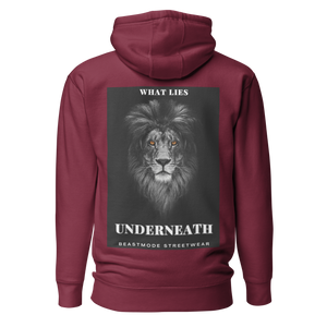 What Lies Underneath Premium Hoodie